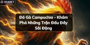 https://vuabet88.lat/wp-content/uploads/2024/11/da-ga-campuchia-kham-pha-nhung-tran-dau-day-soi-dong.jpg