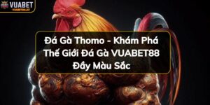 https://vuabet88.lat/wp-content/uploads/2024/11/da-ga-thomo-kham-pha-the-gioi-da-ga-vuabet88-day-mau-sac.jpg