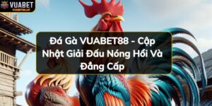 https://vuabet88.lat/wp-content/uploads/2024/11/da-ga-vuabet88-cap-nhat-giai-dau-nong-hoi-va-dang-cap.jpg